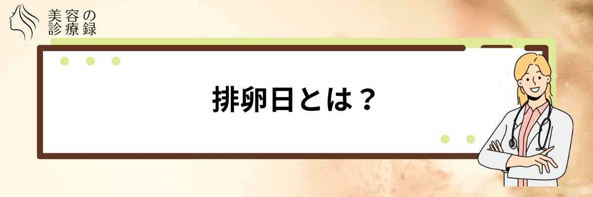 排卵日 いつ