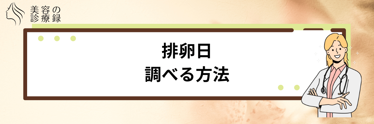 排卵日 いつ