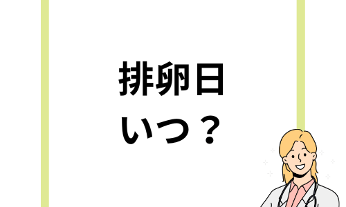 排卵日はいつ？おりものの状態や生理などから調べる方法や性行為について解説