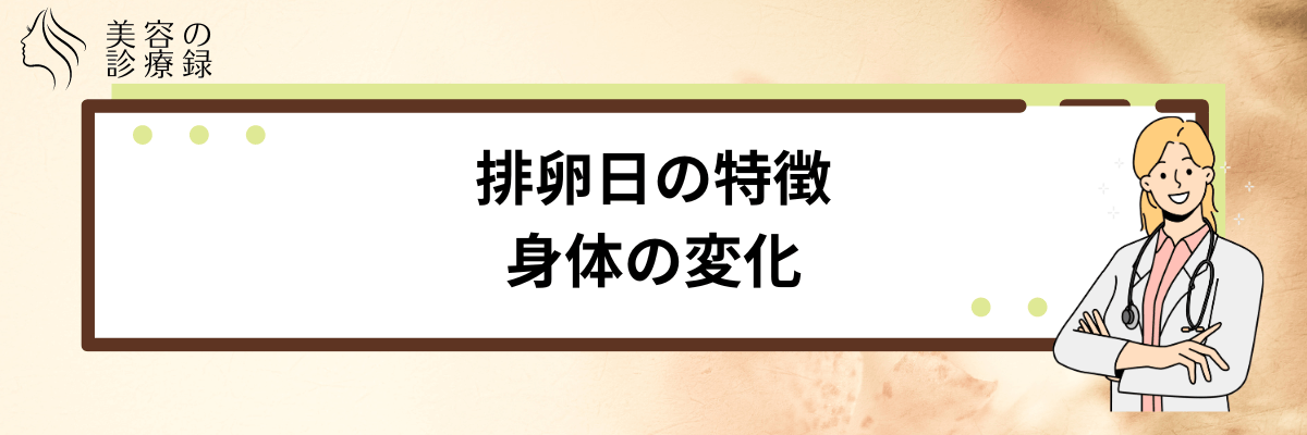 排卵日 いつ