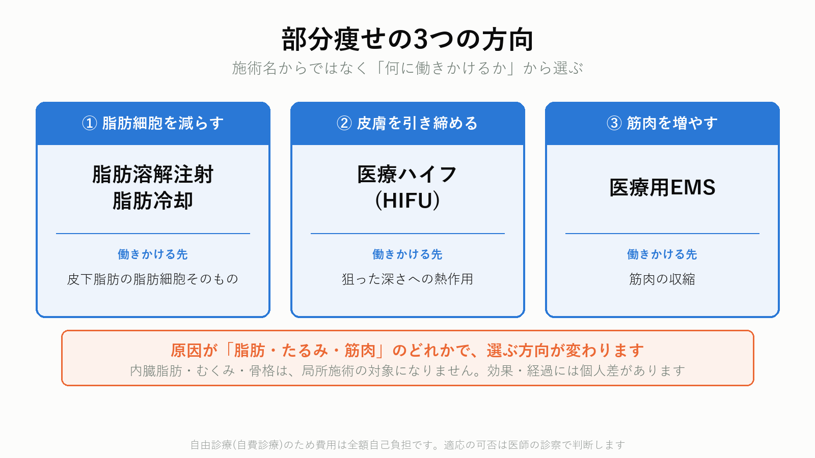部分痩せの3つのアプローチ 脂肪細胞を減らす 皮膚を引き締める 筋肉を増やす