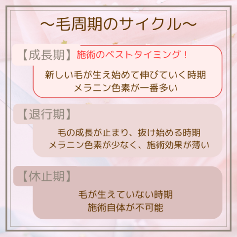 毛周期のサイクル